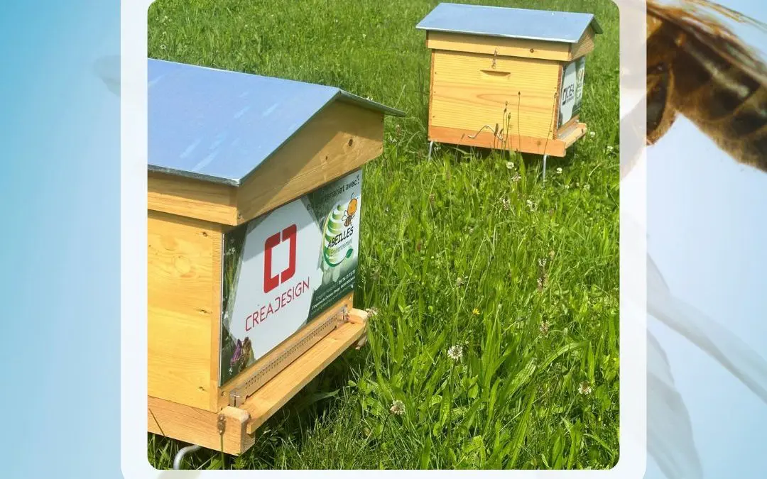 Des ruches sur notre site de Bissy